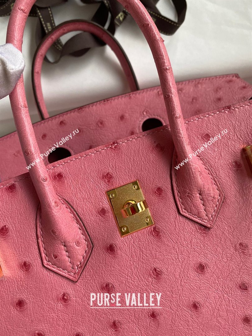 Hermes Birkin 25cm Bag in Ostrich Leather Bubble Pink/Gold 2024 (Full Handmade) (XYA-24081910)