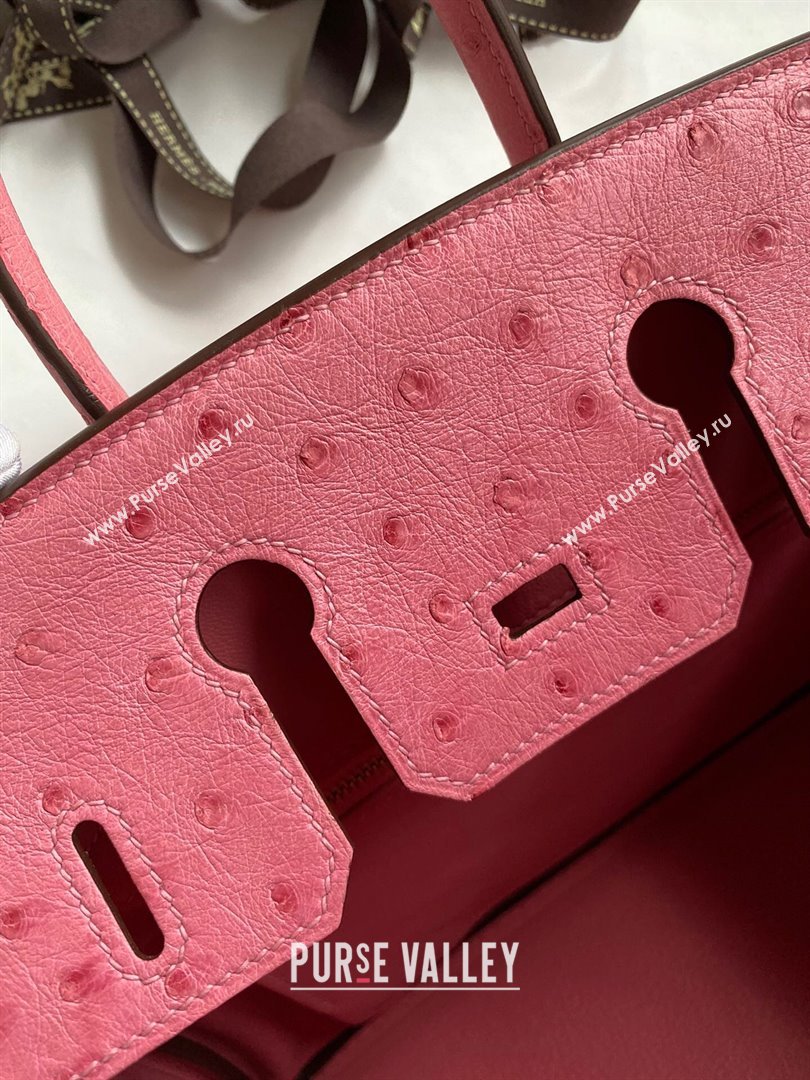 Hermes Birkin 25cm Bag in Ostrich Leather Bubble Pink/Gold 2024 (Full Handmade) (XYA-24081910)