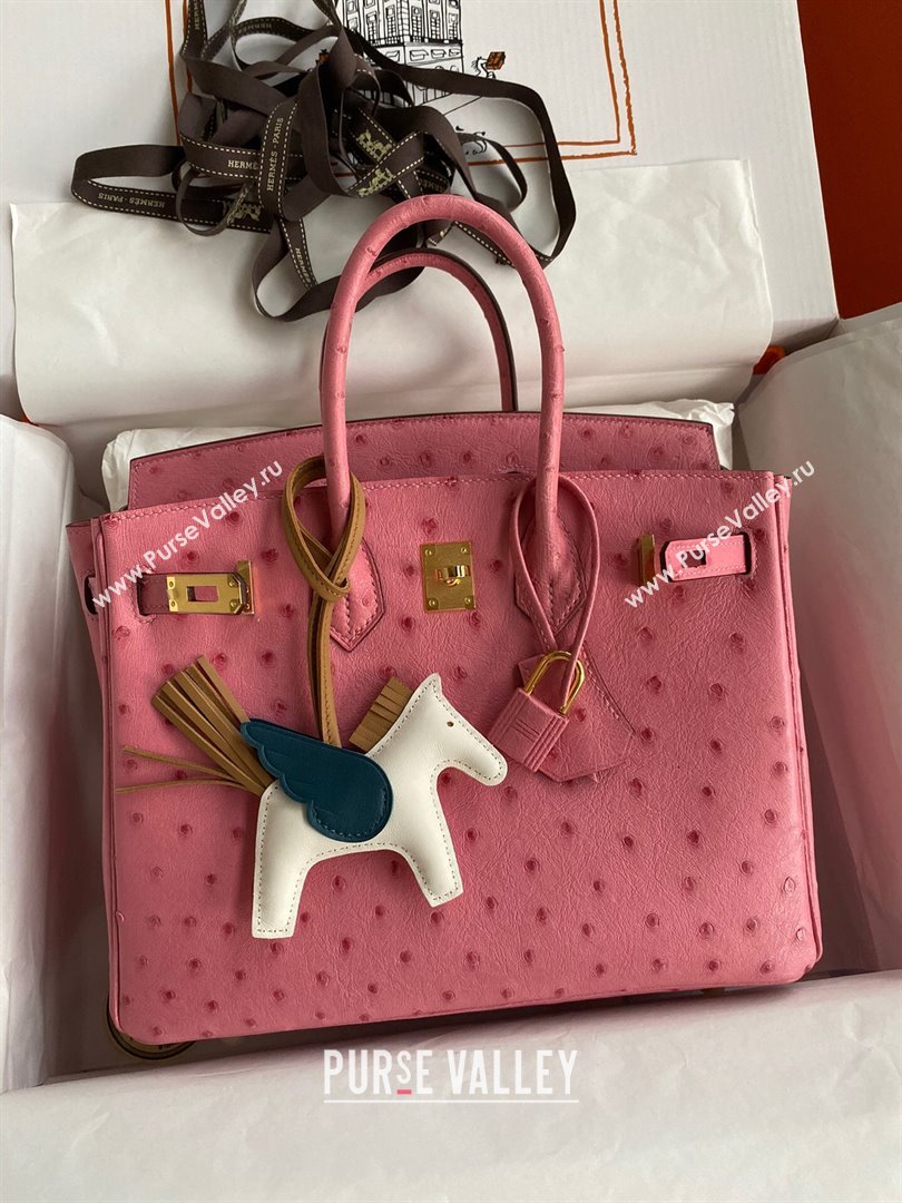 Hermes Birkin 25cm Bag in Ostrich Leather Bubble Pink/Gold 2024 (Full Handmade) (XYA-24081910)