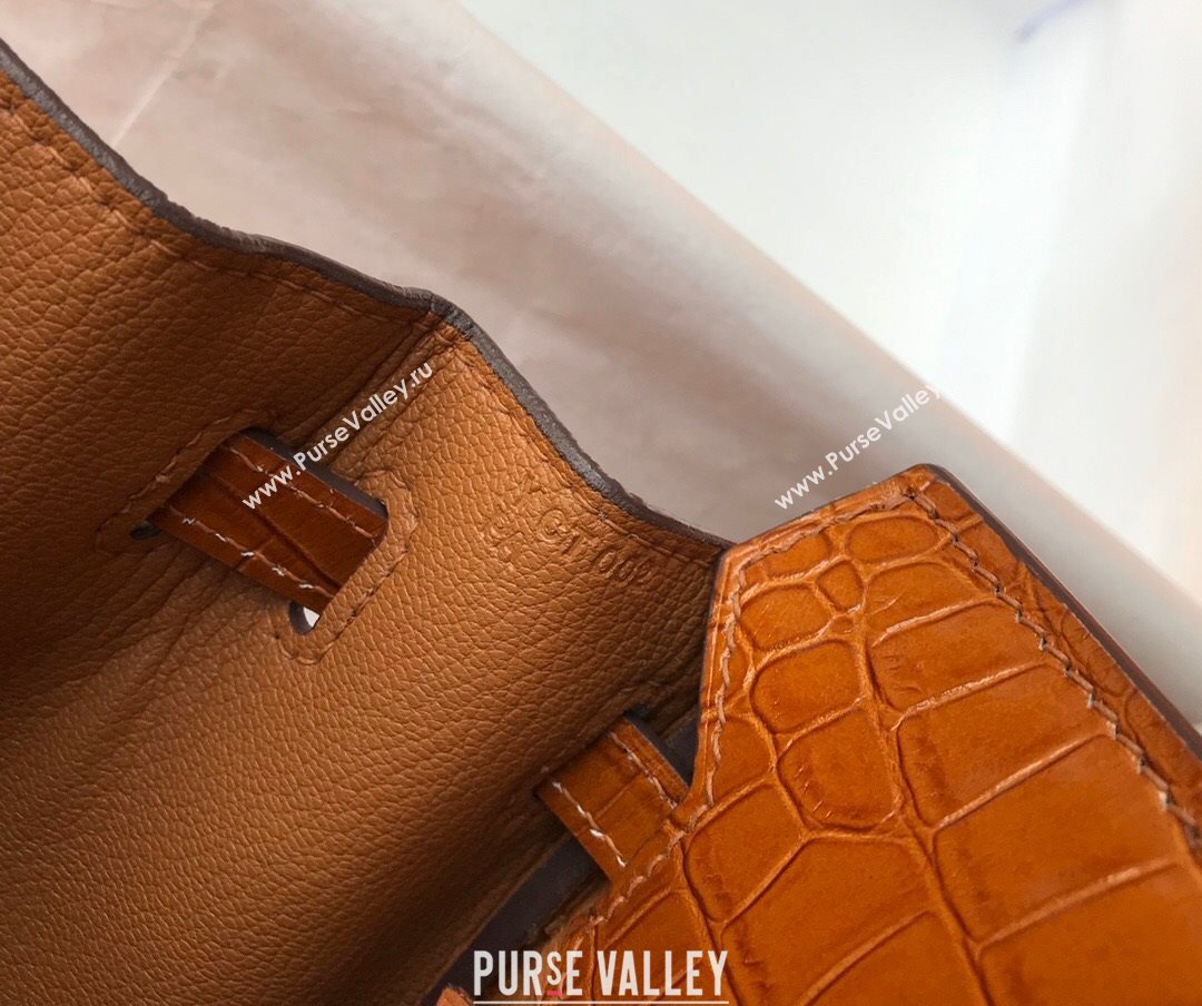 Hermes Touch Birkin Bag 25cm in Crocodile Embossed Leather and Togo Calfskin Brown/Gold 2021 (FL-21031801)