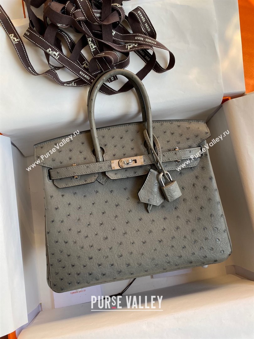 Hermes Birkin 25cm Bag in Ostrich Leather Turtledove Grey/Silver 2024 (Full Handmade) (XYA-24081912)