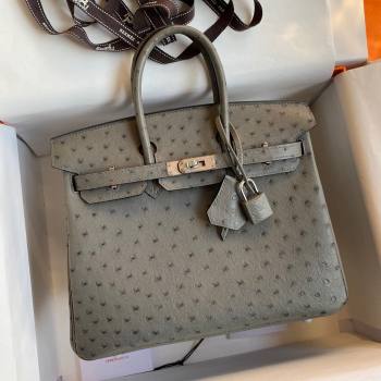 Hermes Birkin 25cm Bag in Ostrich Leather Turtledove Grey/Silver 2024 (Full Handmade) (XYA-24081912)