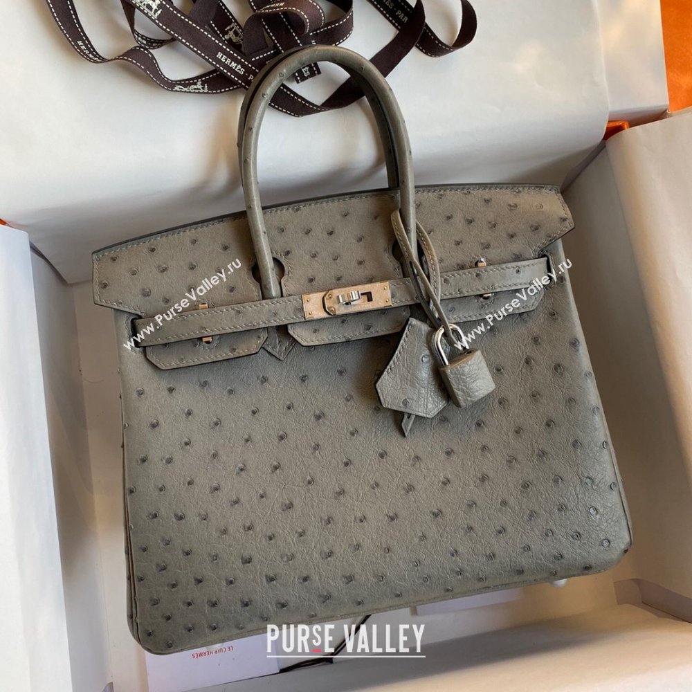 Hermes Birkin 25cm Bag in Ostrich Leather Turtledove Grey/Silver 2024 (Full Handmade) (XYA-24081912)