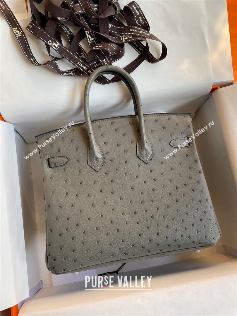 Hermes Birkin 25cm Bag in Ostrich Leather Turtledove Grey/Silver 2024 (Full Handmade) (XYA-24081912)