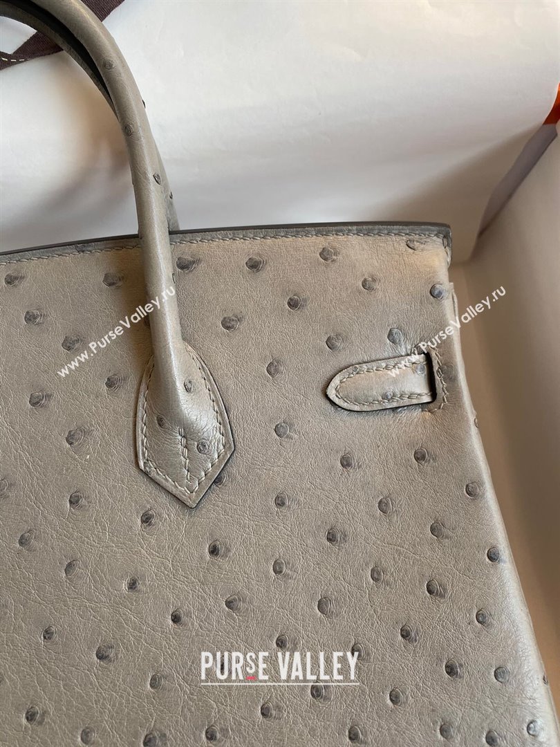 Hermes Birkin 25cm Bag in Ostrich Leather Turtledove Grey/Silver 2024 (Full Handmade) (XYA-24081912)