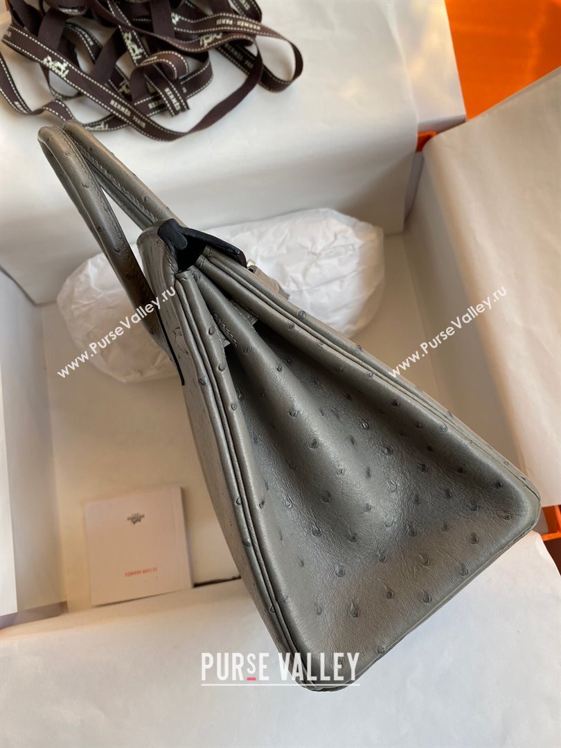 Hermes Birkin 25cm Bag in Ostrich Leather Turtledove Grey/Silver 2024 (Full Handmade) (XYA-24081912)