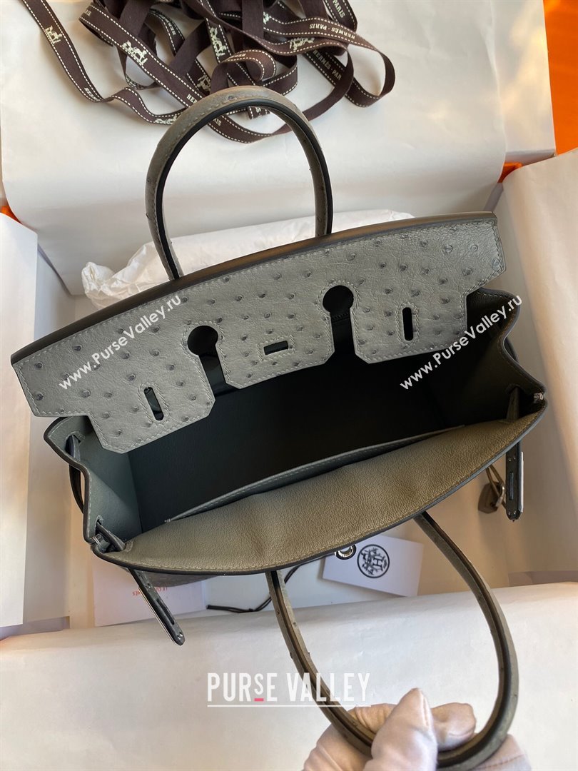 Hermes Birkin 25cm Bag in Ostrich Leather Turtledove Grey/Silver 2024 (Full Handmade) (XYA-24081912)