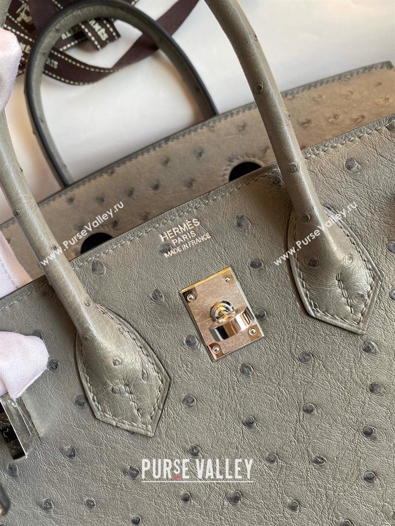 Hermes Birkin 25cm Bag in Ostrich Leather Turtledove Grey/Silver 2024 (Full Handmade) (XYA-24081912)