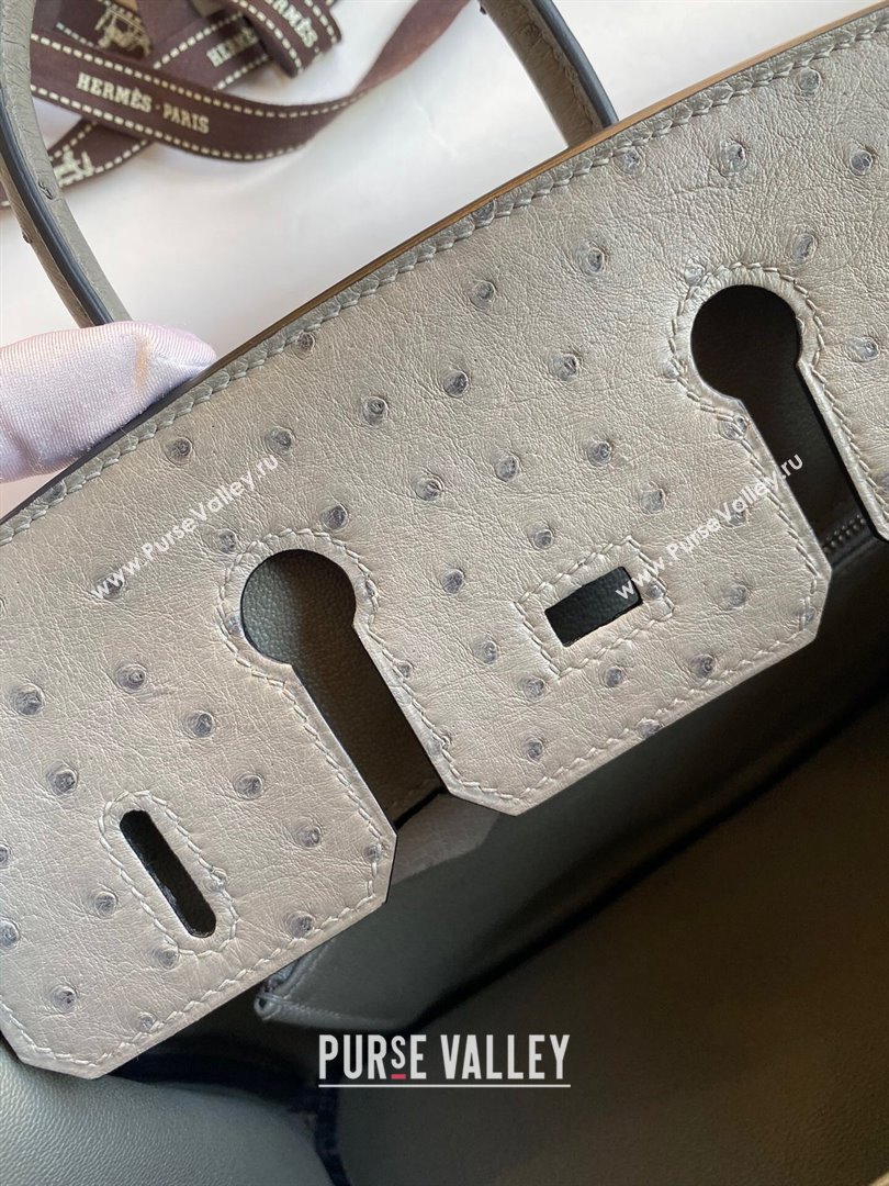 Hermes Birkin 25cm Bag in Ostrich Leather Turtledove Grey/Silver 2024 (Full Handmade) (XYA-24081912)