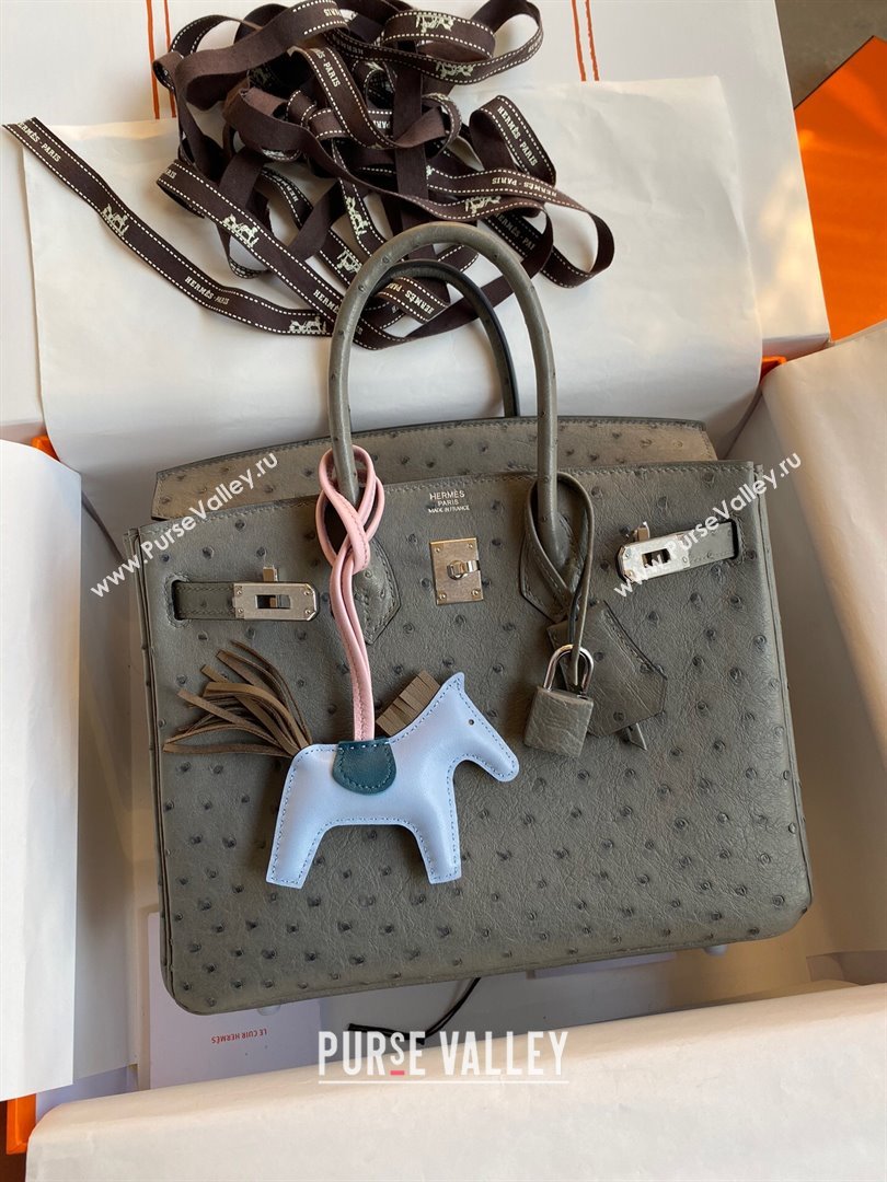 Hermes Birkin 25cm Bag in Ostrich Leather Turtledove Grey/Silver 2024 (Full Handmade) (XYA-24081912)