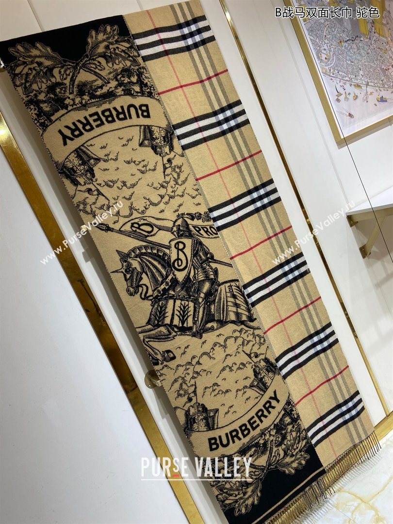Burberry Cashmere Scarf 210x45cm B020601 Khaki 2025 Top Quality (WTZ-25020601)