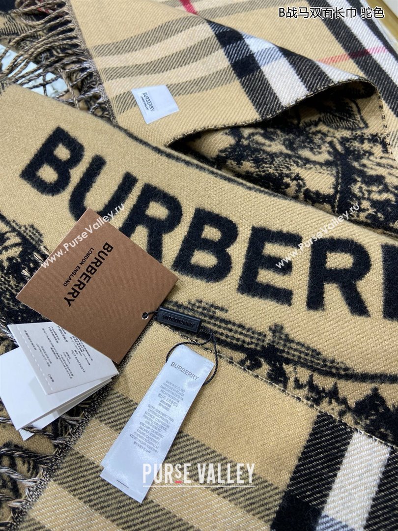 Burberry Cashmere Scarf 210x45cm B020601 Khaki 2025 Top Quality (WTZ-25020601)
