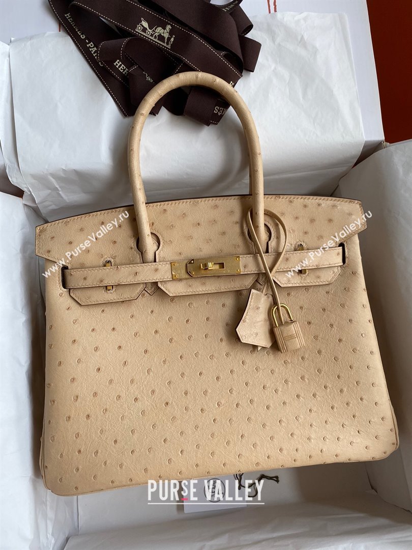 Hermes Birkin 25cm Bag in Ostrich Leather Light Brown/Gold 2024 (Full Handmade) (XYA-24081914)