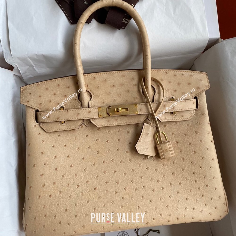 Hermes Birkin 25cm Bag in Ostrich Leather Light Brown/Gold 2024 (Full Handmade) (XYA-24081914)