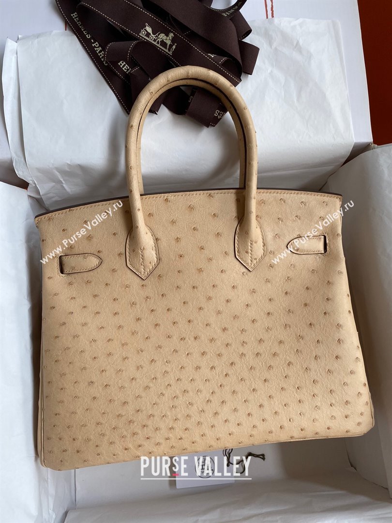 Hermes Birkin 25cm Bag in Ostrich Leather Light Brown/Gold 2024 (Full Handmade) (XYA-24081914)