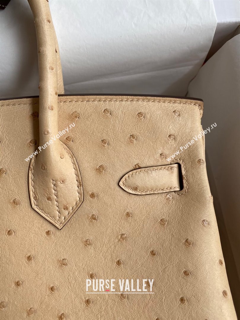 Hermes Birkin 25cm Bag in Ostrich Leather Light Brown/Gold 2024 (Full Handmade) (XYA-24081914)