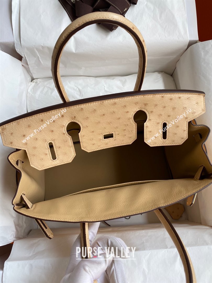 Hermes Birkin 25cm Bag in Ostrich Leather Light Brown/Gold 2024 (Full Handmade) (XYA-24081914)