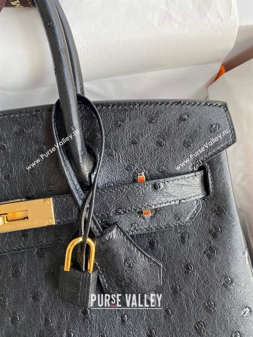 Hermes Birkin 25cm Bag in Ostrich Leather Black/Gold 2024 (Full Handmade) (XYA-24081915)