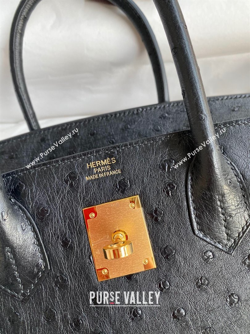 Hermes Birkin 25cm Bag in Ostrich Leather Black/Gold 2024 (Full Handmade) (XYA-24081915)