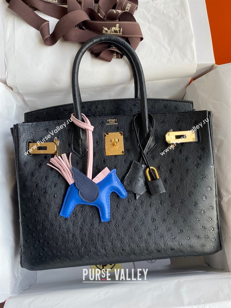 Hermes Birkin 25cm Bag in Ostrich Leather Black/Gold 2024 (Full Handmade) (XYA-24081915)