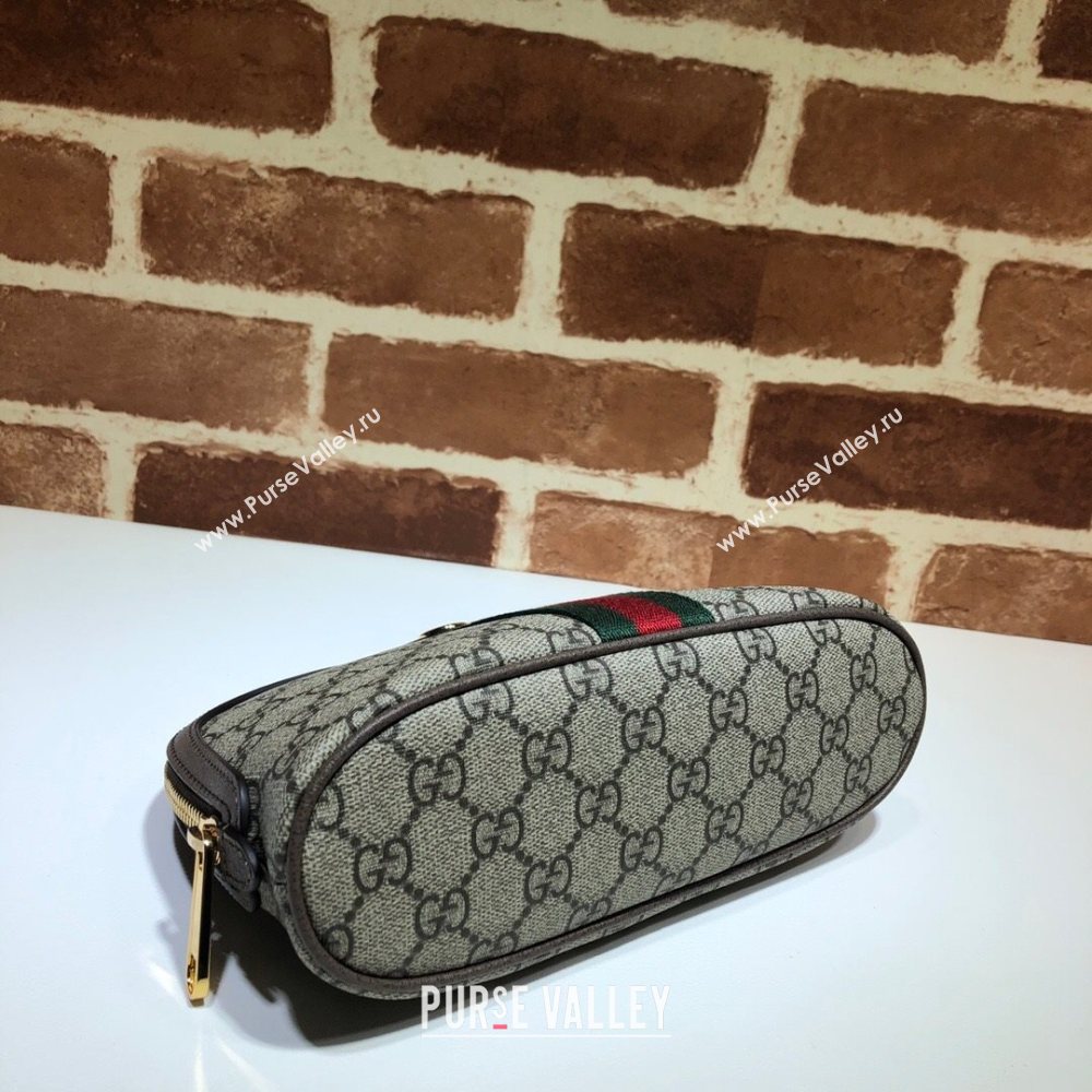 Gucci Ophidia GG Canvas Large Cosmetic Case 625551 Beige 2021 (DLH-21031824)