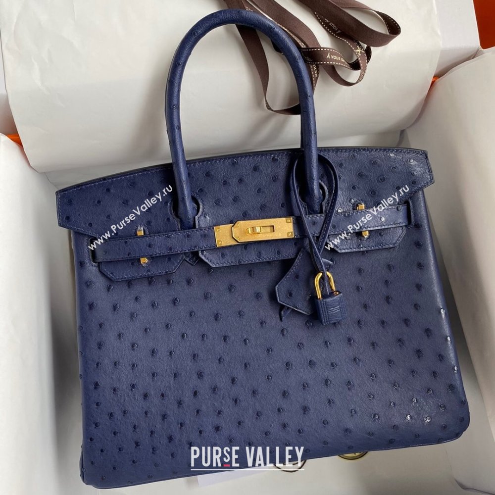 Hermes Birkin 25cm Bag in Ostrich Leather Blue/Gold 2024 (Full Handmade) (XYA-24081916)