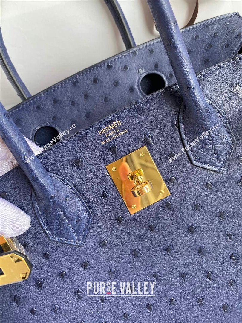 Hermes Birkin 25cm Bag in Ostrich Leather Blue/Gold 2024 (Full Handmade) (XYA-24081916)