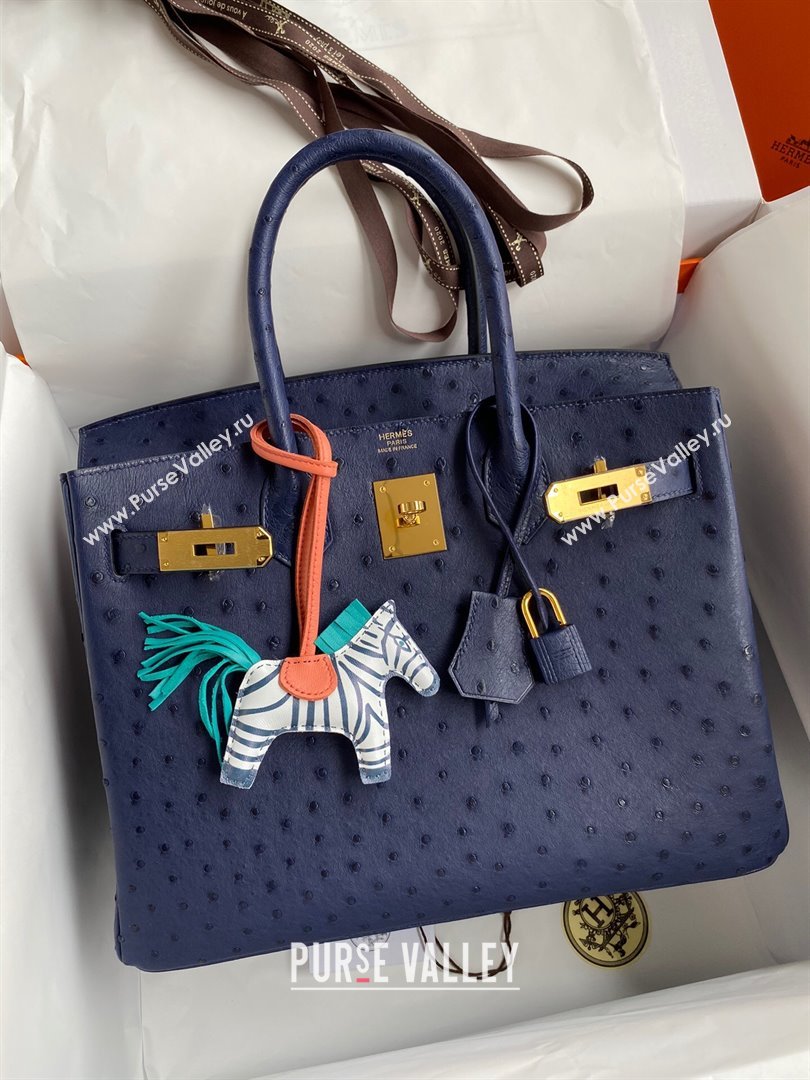 Hermes Birkin 25cm Bag in Ostrich Leather Blue/Gold 2024 (Full Handmade) (XYA-24081916)