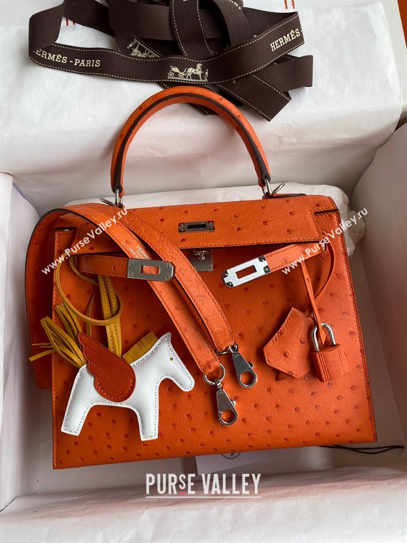 Hermes Kelly 25cm Bag in Ostrich Leather Orange/Silver 2024 (Full Handmade) (XYA-24081917)