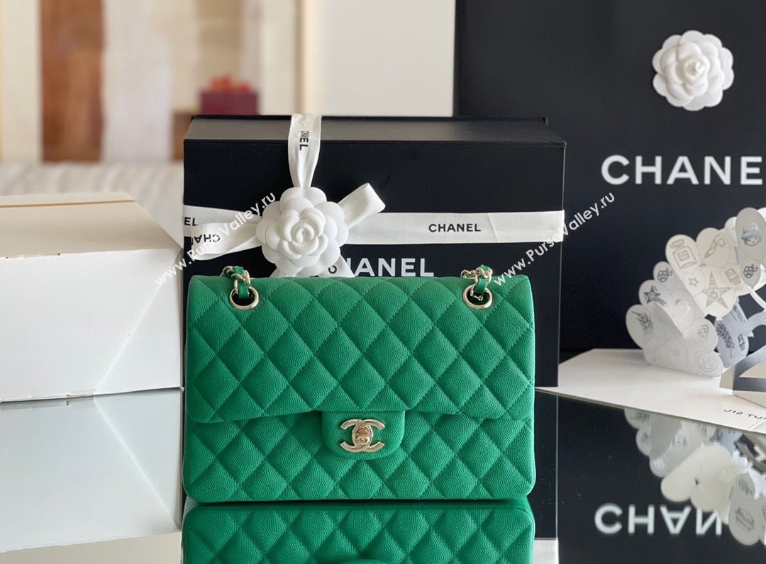 Chanel Grained Calfskin Small Classic Flap Bag A01116 Green/Light Gold 2023 Original Quality (MHE-24061804)