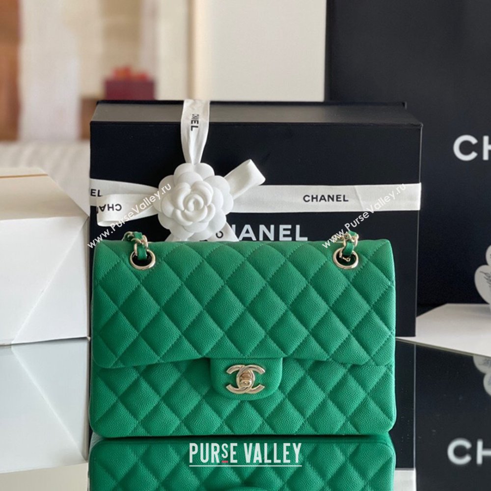 Chanel Grained Calfskin Small Classic Flap Bag A01116 Green/Light Gold 2023 Original Quality (MHE-24061804)