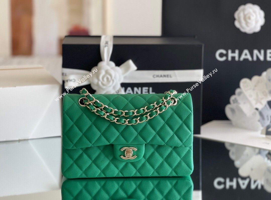 Chanel Grained Calfskin Small Classic Flap Bag A01116 Green/Light Gold 2023 Original Quality (MHE-24061804)