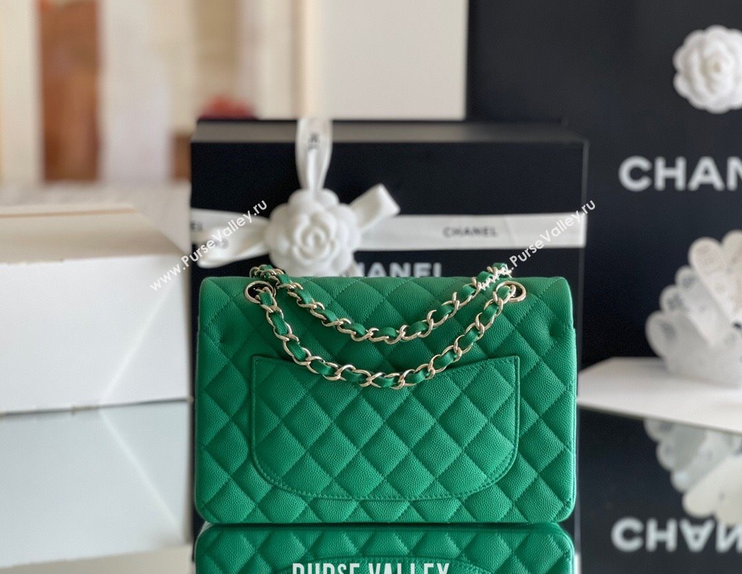 Chanel Grained Calfskin Small Classic Flap Bag A01116 Green/Light Gold 2023 Original Quality (MHE-24061804)