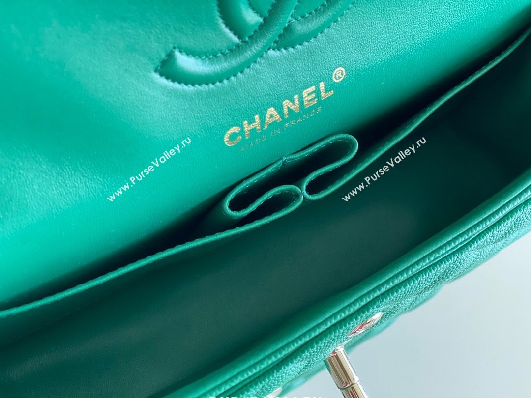 Chanel Grained Calfskin Small Classic Flap Bag A01116 Green/Light Gold 2023 Original Quality (MHE-24061804)