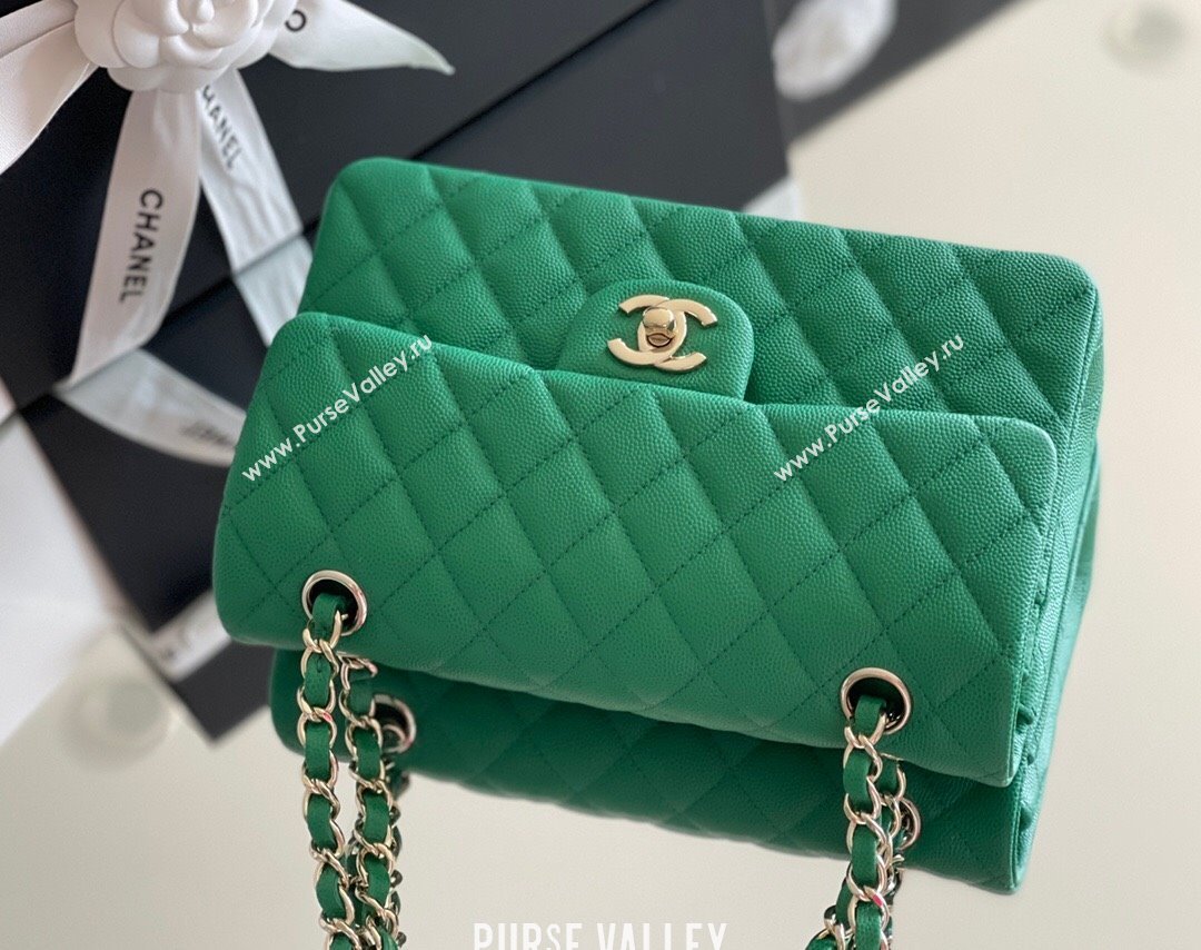 Chanel Grained Calfskin Small Classic Flap Bag A01116 Green/Light Gold 2023 Original Quality (MHE-24061804)