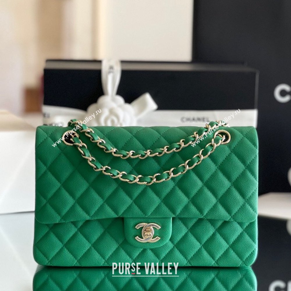 Chanel Grained Calfskin Medium Classic Flap Bag A01112 Green/Light Gold 2024 Original Quality (MHE-24061803)