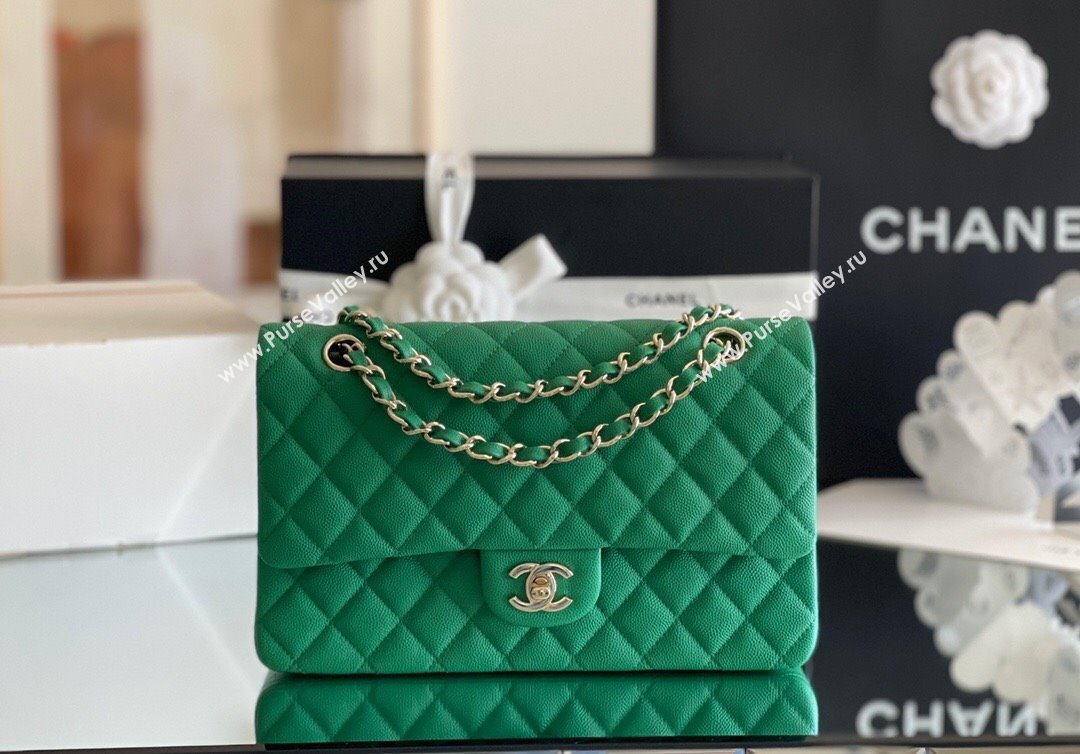 Chanel Grained Calfskin Medium Classic Flap Bag A01112 Green/Light Gold 2024 Original Quality (MHE-24061803)