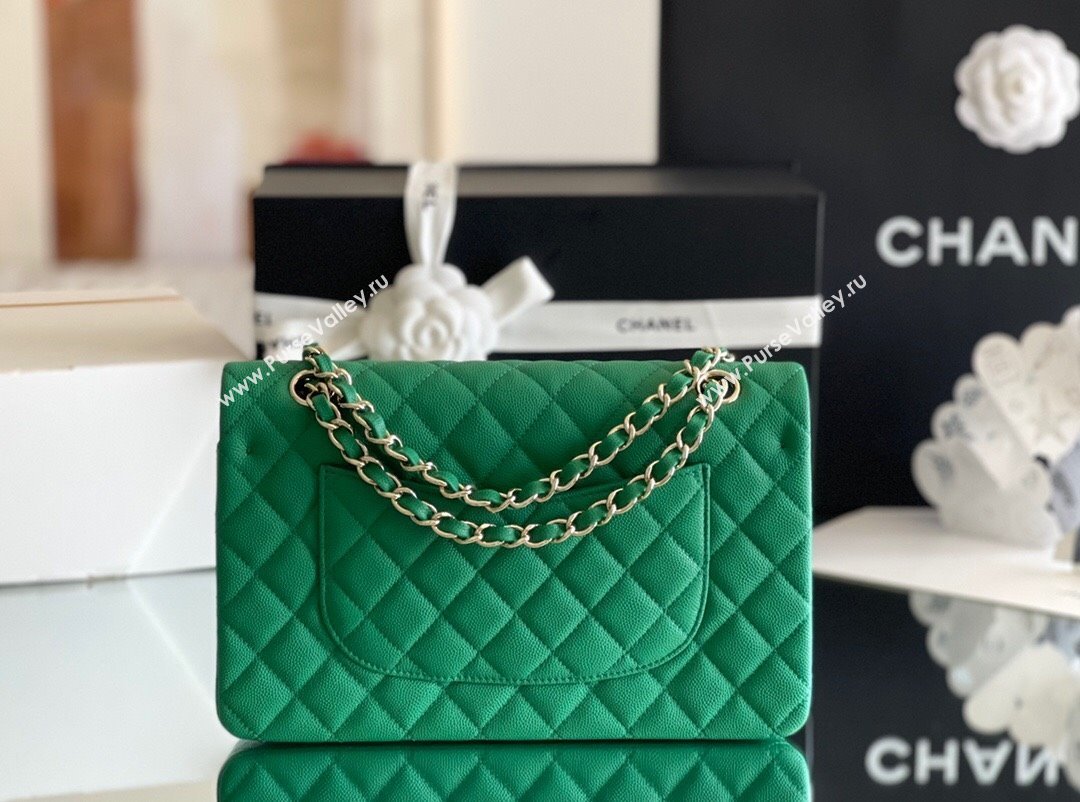 Chanel Grained Calfskin Medium Classic Flap Bag A01112 Green/Light Gold 2024 Original Quality (MHE-24061803)