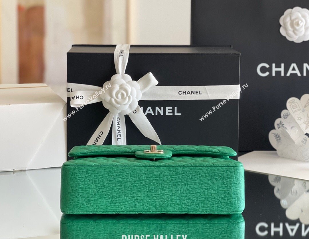 Chanel Grained Calfskin Medium Classic Flap Bag A01112 Green/Light Gold 2024 Original Quality (MHE-24061803)