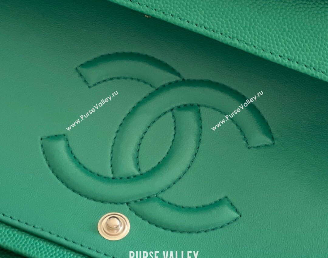 Chanel Grained Calfskin Medium Classic Flap Bag A01112 Green/Light Gold 2024 Original Quality (MHE-24061803)