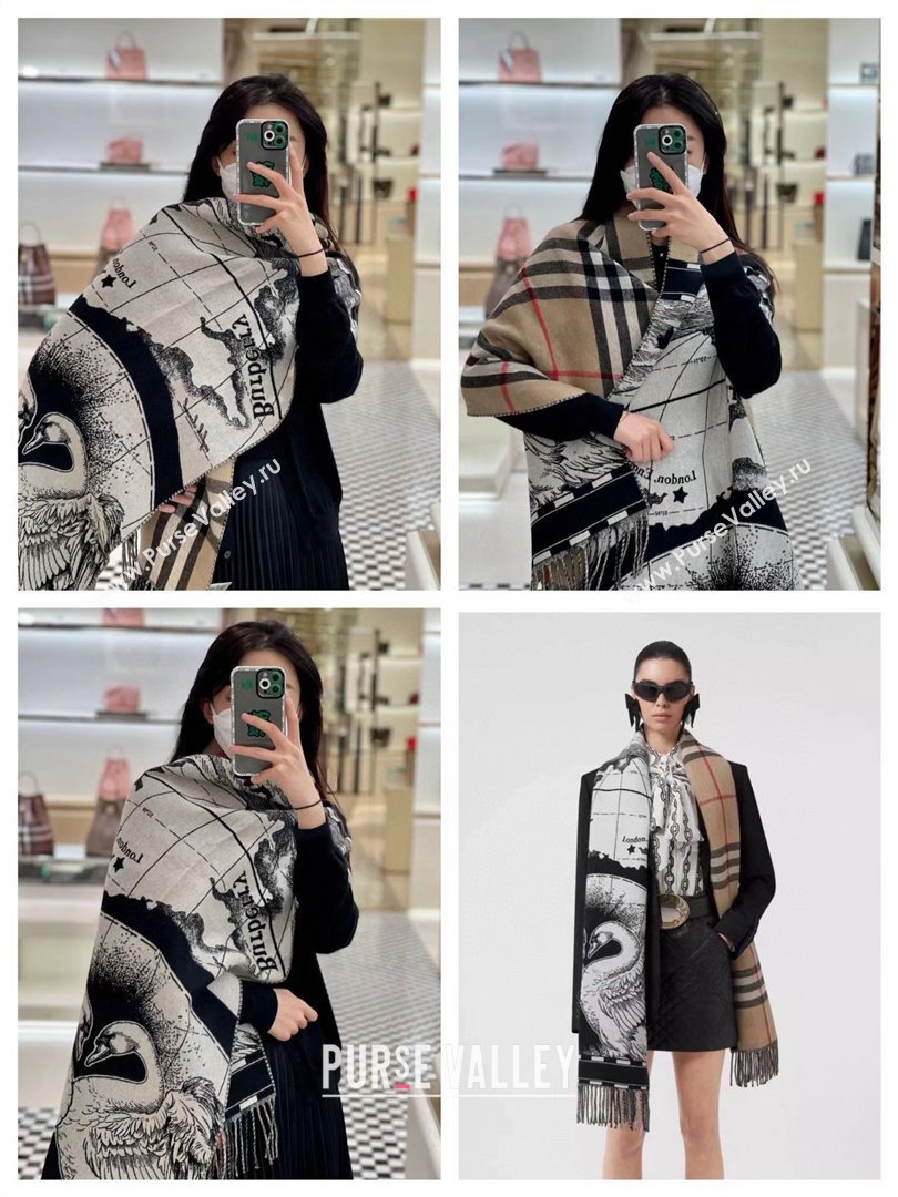 Burberry Cashmere Scarf 210x45cm B020710 2025 Top Quality (WTZ-25020710)