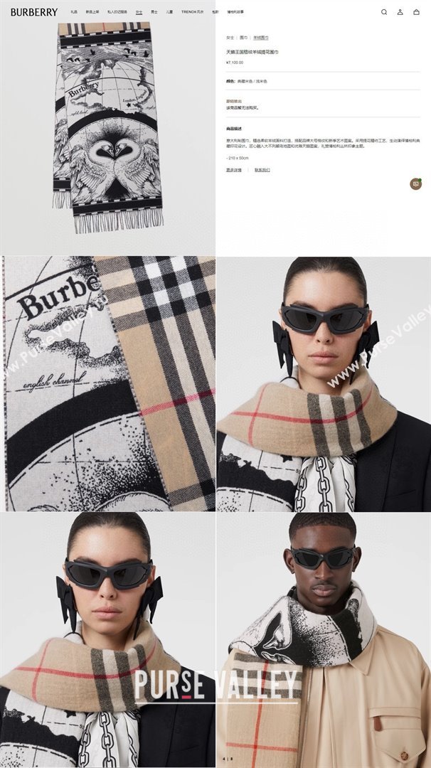 Burberry Cashmere Scarf 210x45cm B020710 2025 Top Quality (WTZ-25020710)