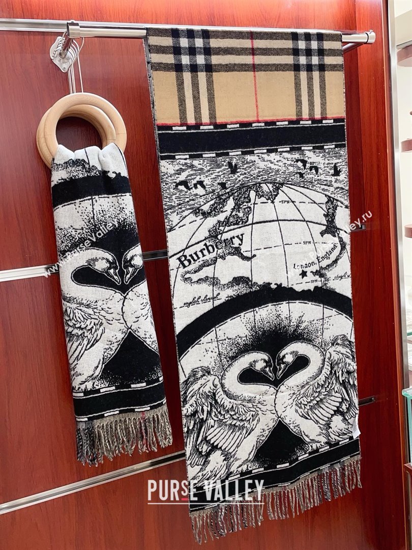 Burberry Cashmere Scarf 210x45cm B020710 2025 Top Quality (WTZ-25020710)