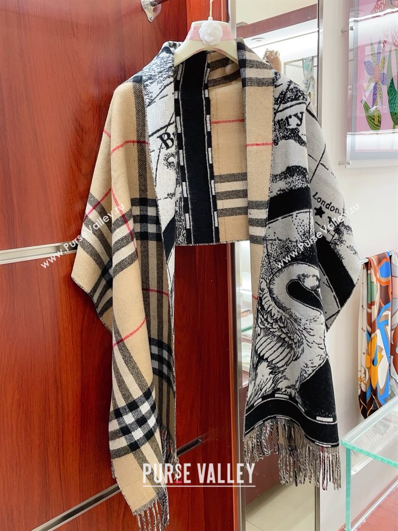 Burberry Cashmere Scarf 210x45cm B020710 2025 Top Quality (WTZ-25020710)