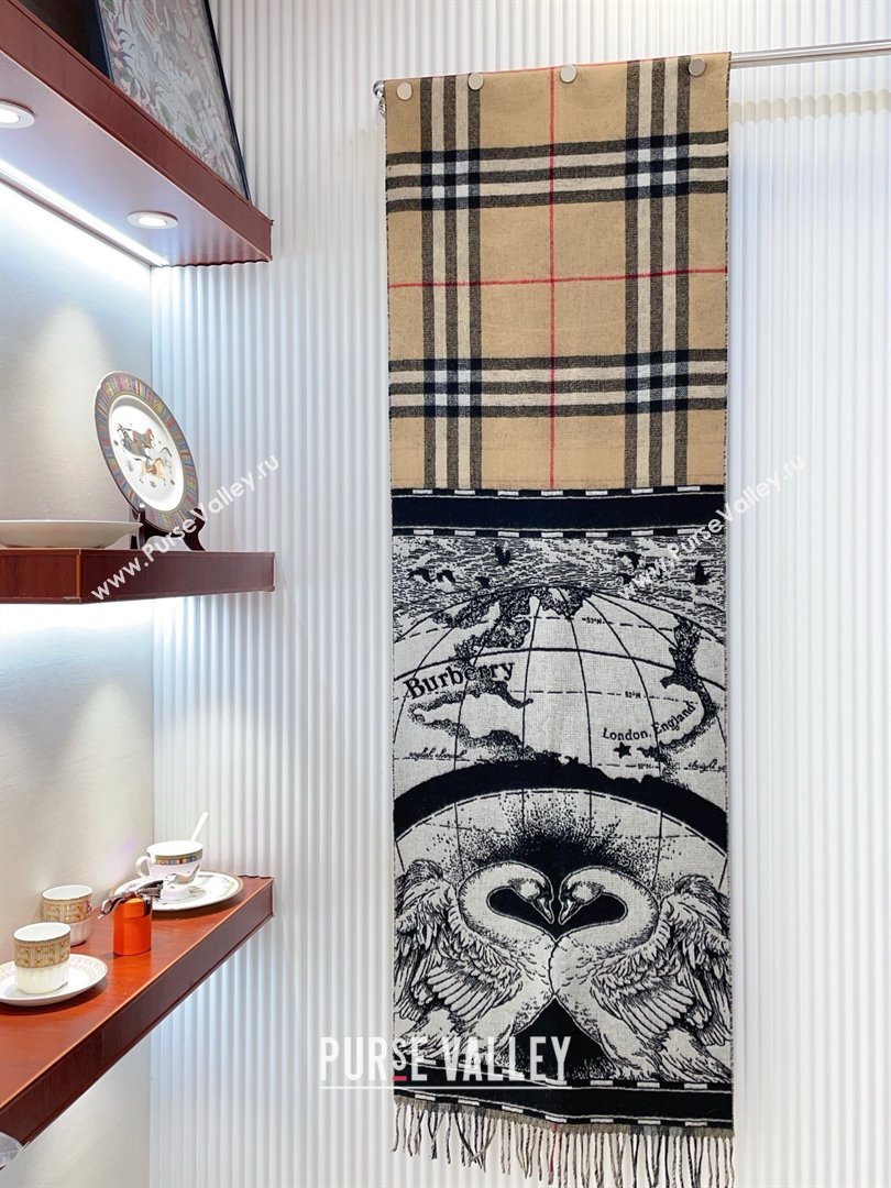 Burberry Cashmere Scarf 210x45cm B020710 2025 Top Quality (WTZ-25020710)