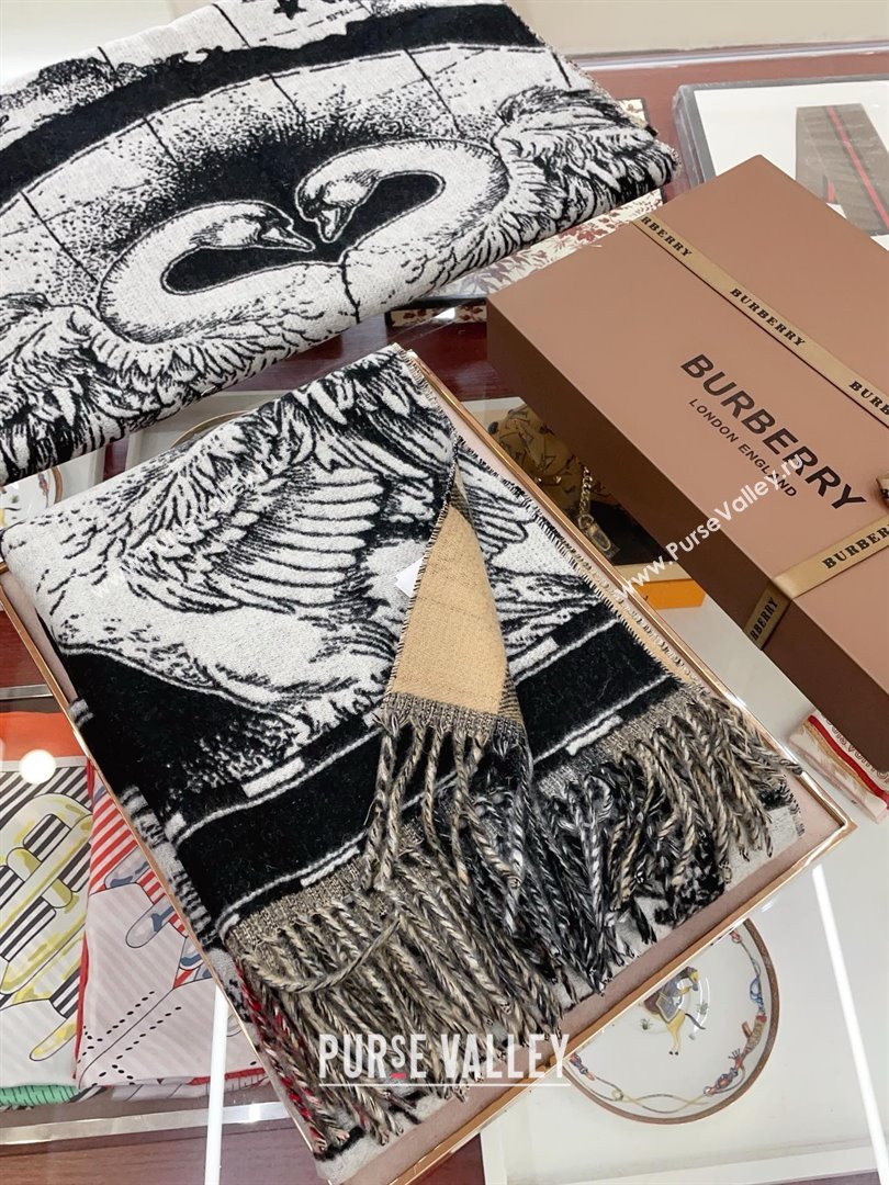 Burberry Cashmere Scarf 210x45cm B020710 2025 Top Quality (WTZ-25020710)