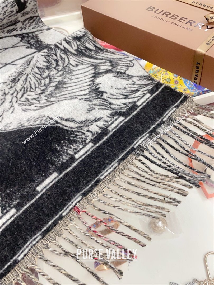 Burberry Cashmere Scarf 210x45cm B020710 2025 Top Quality (WTZ-25020710)