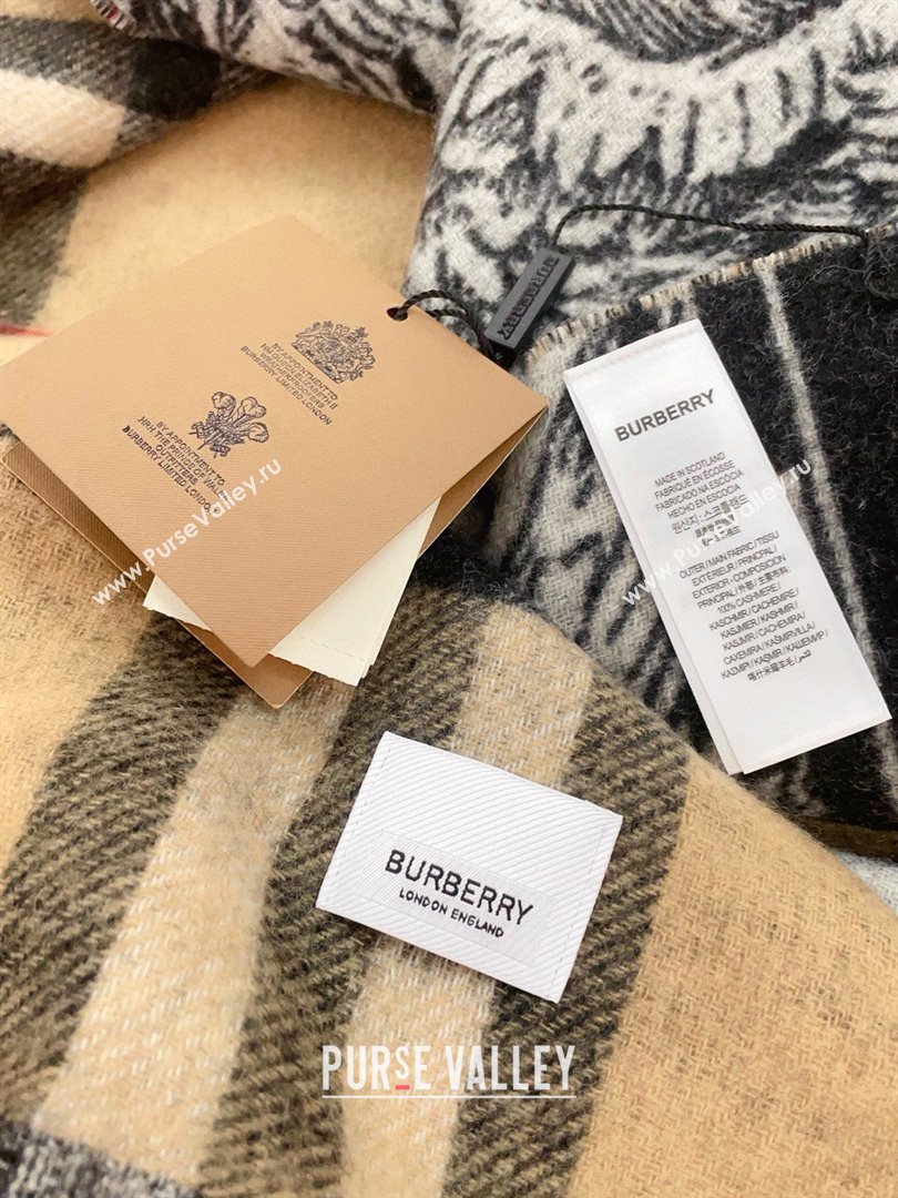 Burberry Cashmere Scarf 210x45cm B020710 2025 Top Quality (WTZ-25020710)