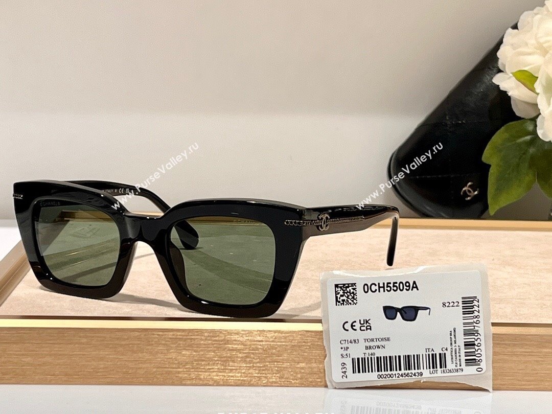 Chanel Sunglasses CH5509A 42 2024 (A-24061442)