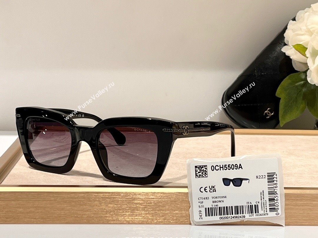 Chanel Sunglasses CH5509A 42 2024 (A-24061442)